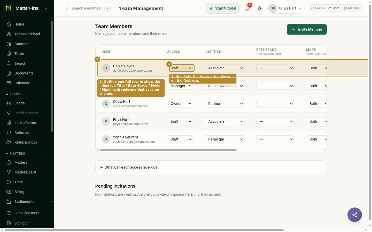 A team member row with the Access, Job Title, Rate Grade, Mode, and Pipeline dropdowns